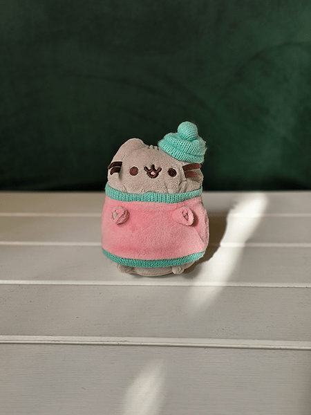 Photo of pusheen plushie