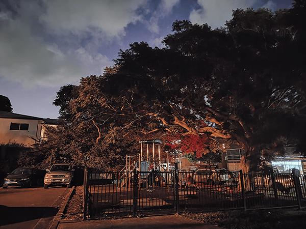 Playground at night