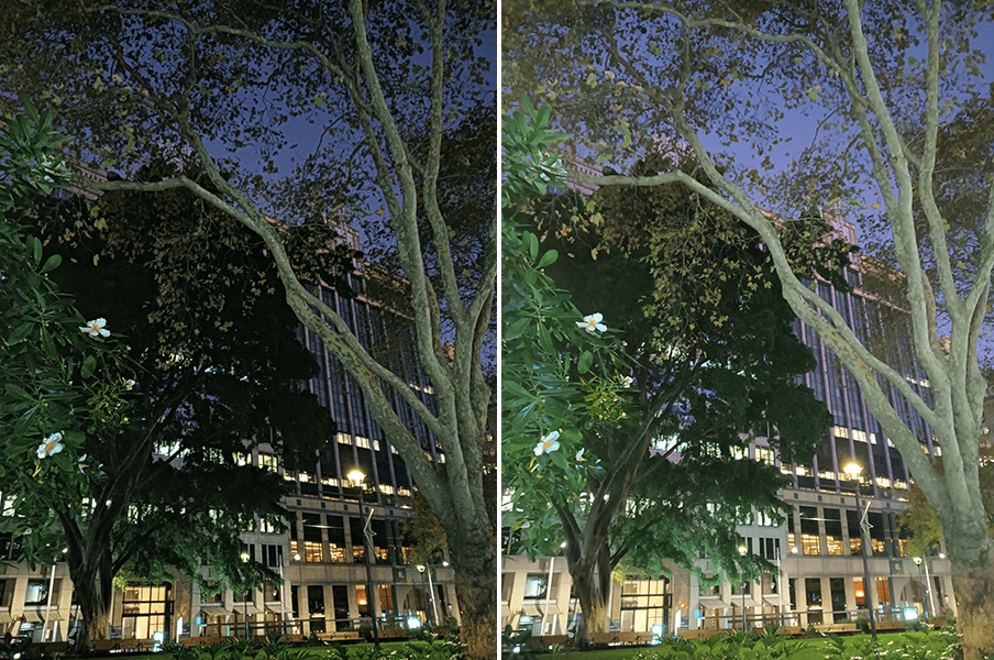 Outdoor night photos of tree and building