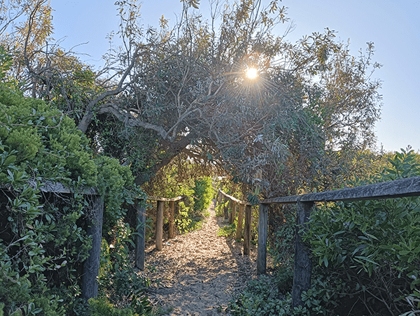 Outdoor photo of beach path