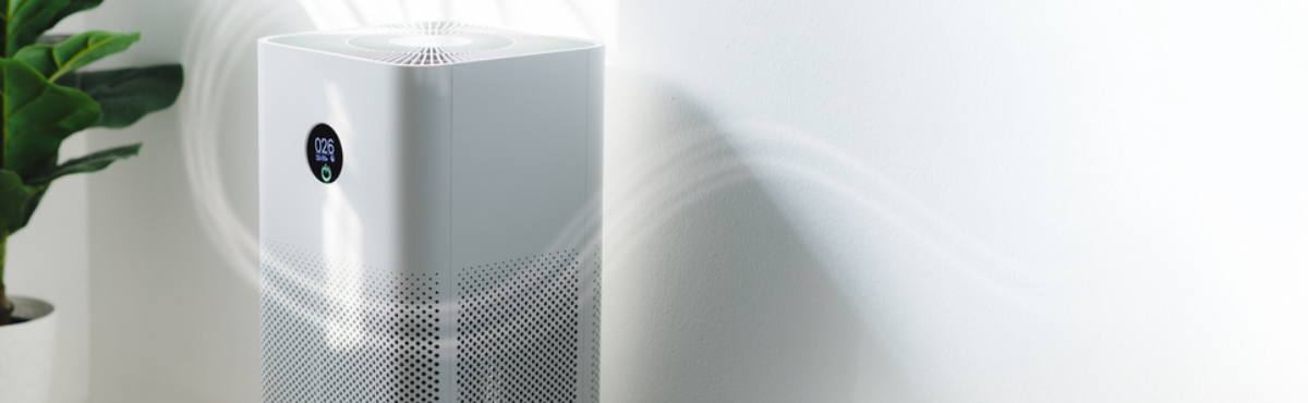 air purifier vs dehumidifier