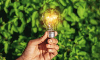 Hand holding yellow lightbulb in front of green shrubbery.