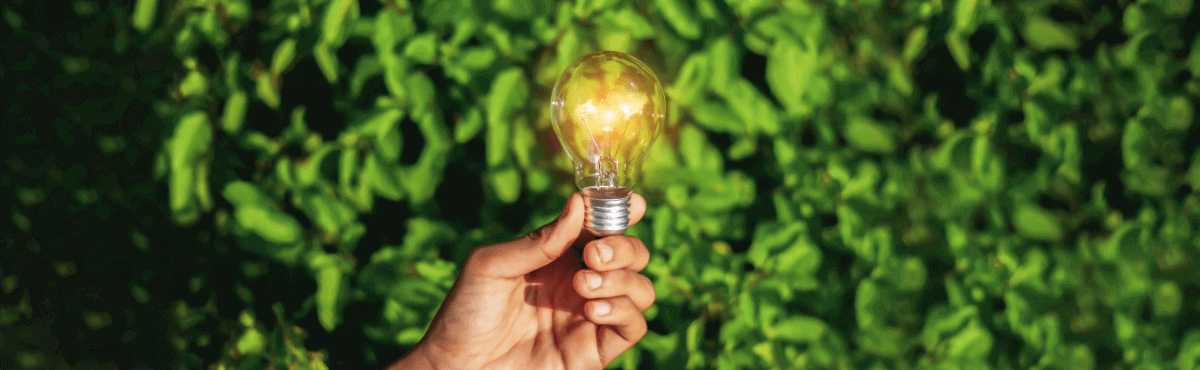 Hand holding yellow lightbulb in front of green shrubbery.