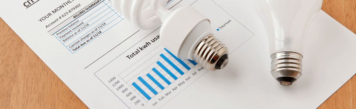 Light bulbs sitting on top of energy bill