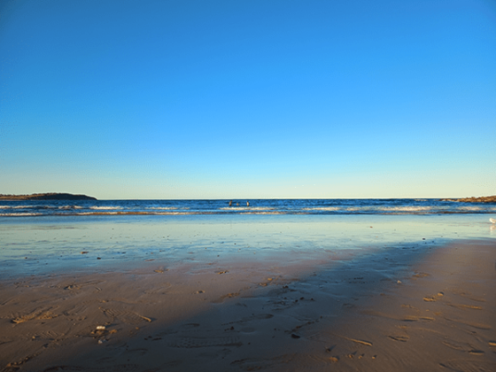 Beach on a cloudless day