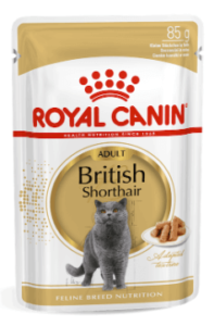 Royal Canin Cat Food