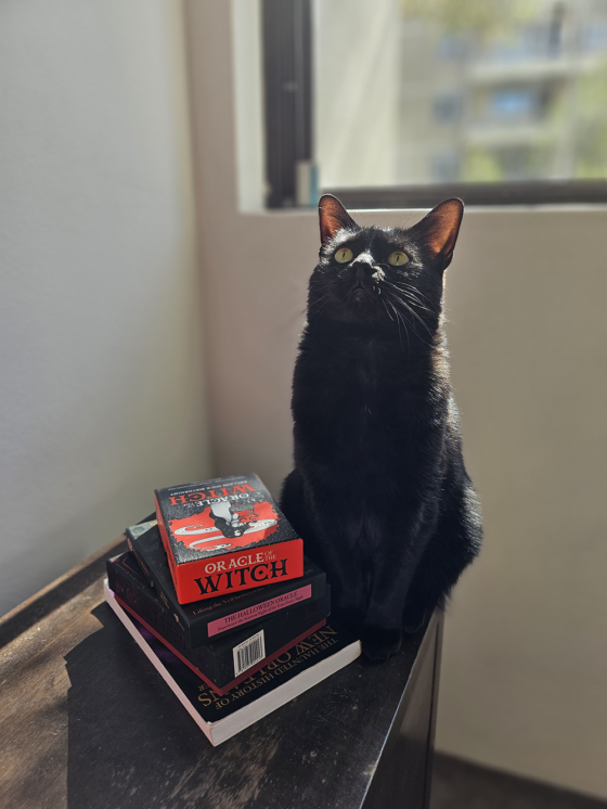 Black cat sitting besides a stack of books in the sunlight.