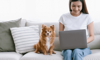 Young woman using laptop in apartment on couch, next to small dog