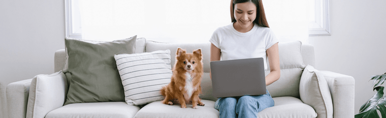 Young woman using laptop in apartment on couch, next to small dog