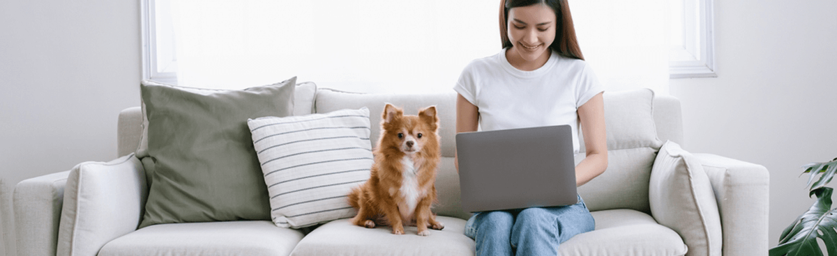 Young woman using laptop in apartment on couch, next to small dog