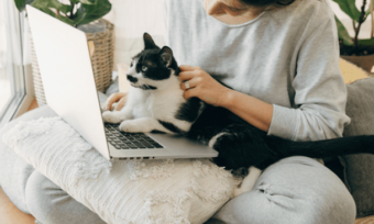 Woman using laptop with cat