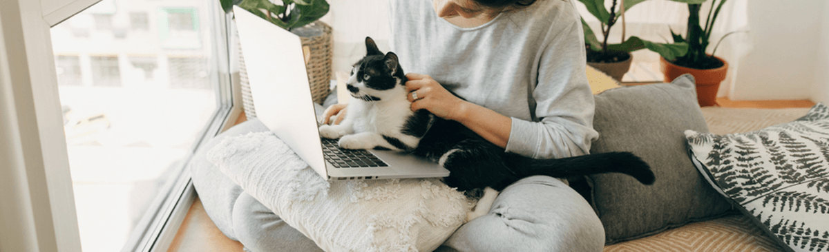 Woman using laptop with cat