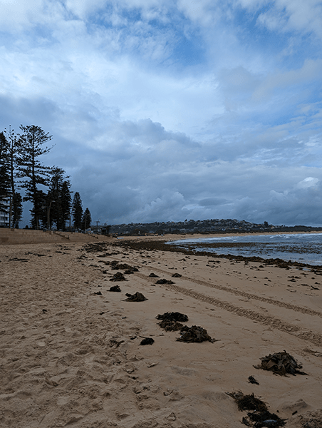 Cloudy sky at beach photo taken on Pixel 8