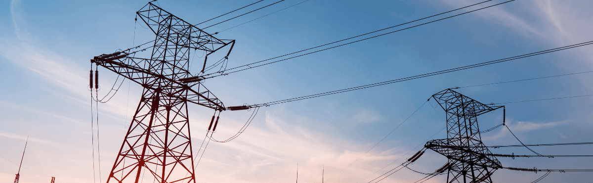 Average wholesale electricity price drop 2023