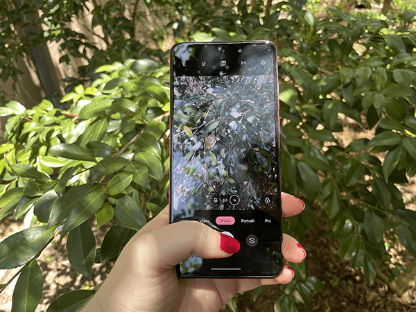 Motorola Moto G84 5G phone camera app