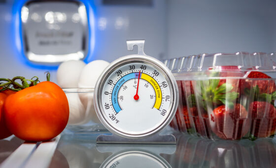 Thermometer