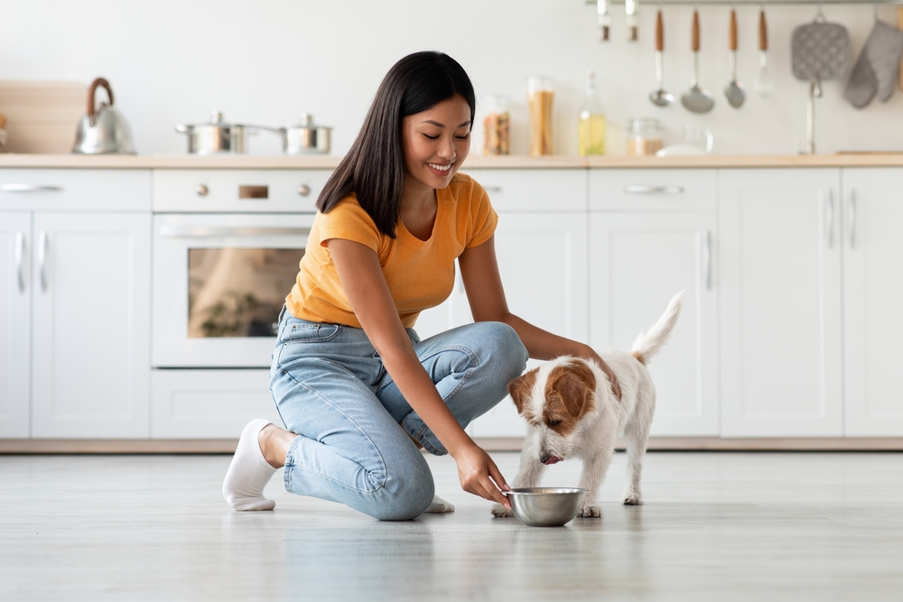 The average cost of pet food in Australia