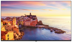 LG 65 inch tv