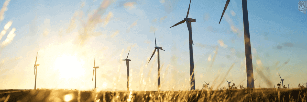 Wind farm