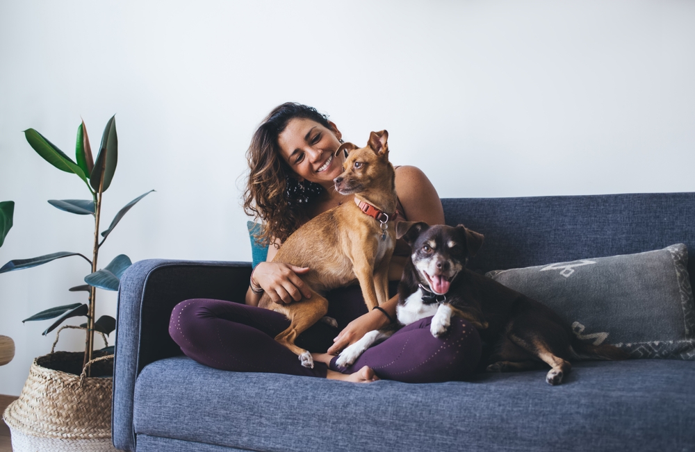 7 ways to cut the cost of caring for your pet