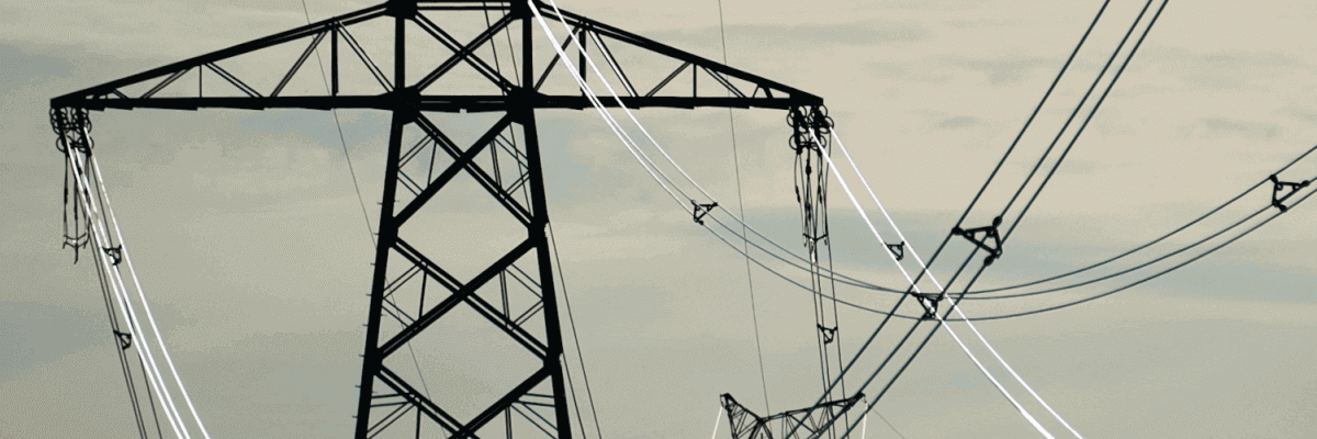 Electricity poles and wires