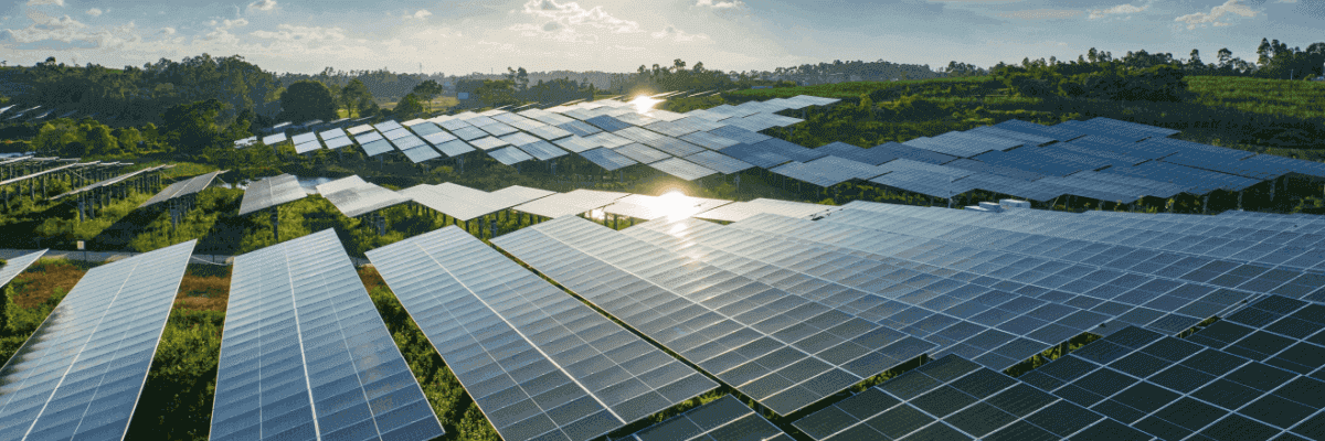 Solar farm