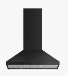 Fisher and Paykel