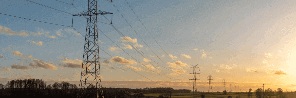 Electricity poles and wires