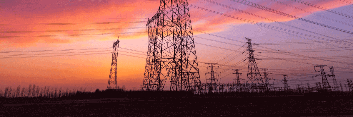 Electricity poles and wires