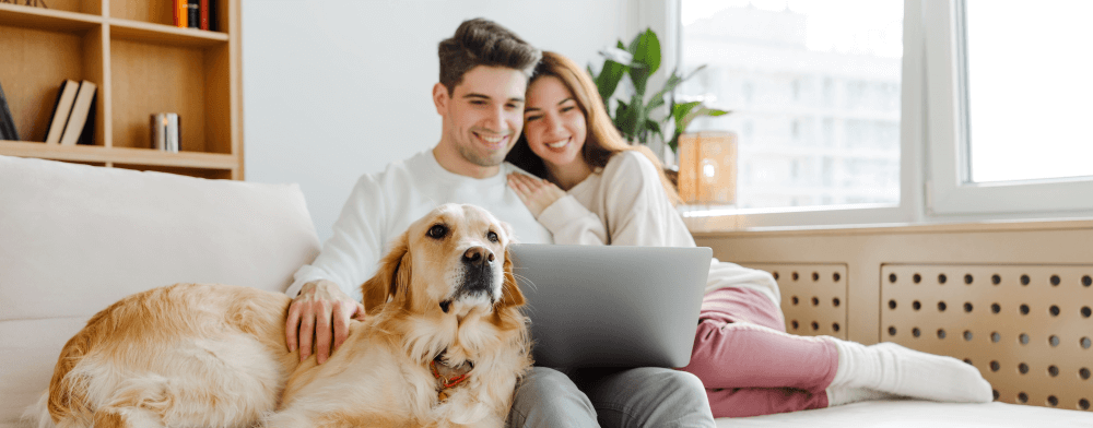 Happy couple using laptop with fast internet at home