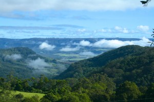 kangaroo valley